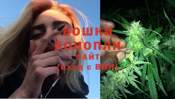 PSILOCYBIN Бронницы