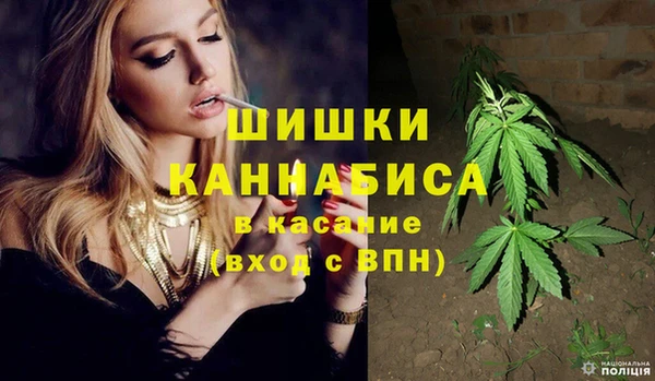 меф Богородицк