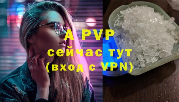 прущая мука Богданович