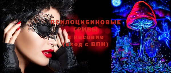 прущая мука Богданович