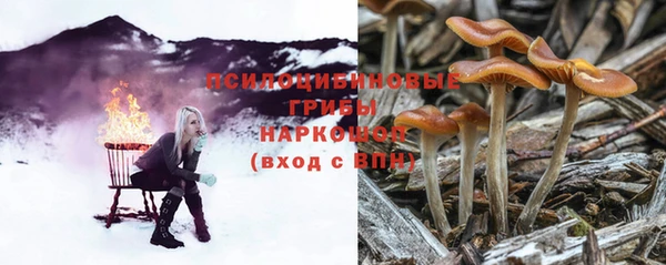 прущая мука Богданович