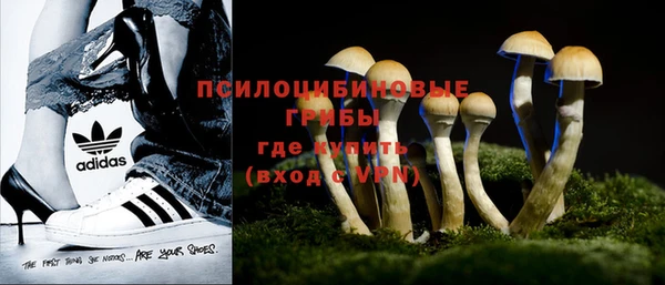 меф Богородицк